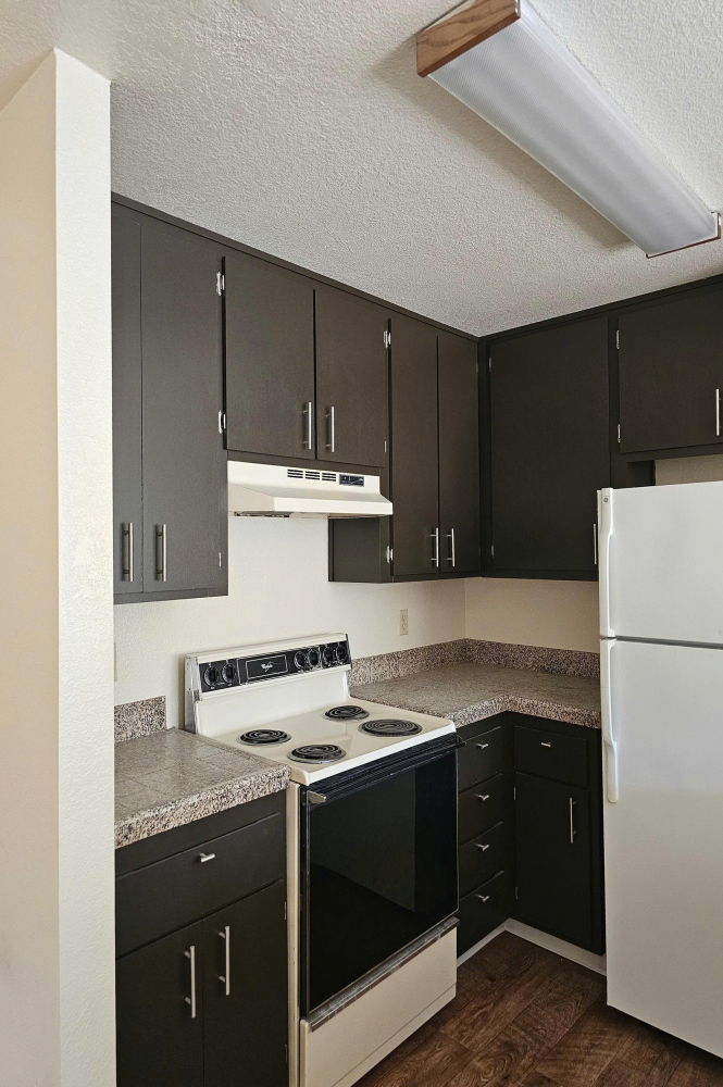 This image is the visual representation of Interior 12 in Willow Run Apartments.